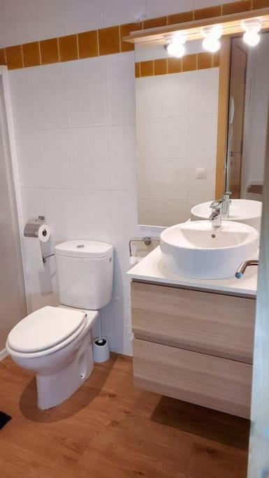 Precioso Apartamento Duplex En El Centro De Olot Apartment Luaran gambar